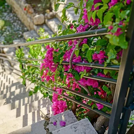 Mini Location شقة *